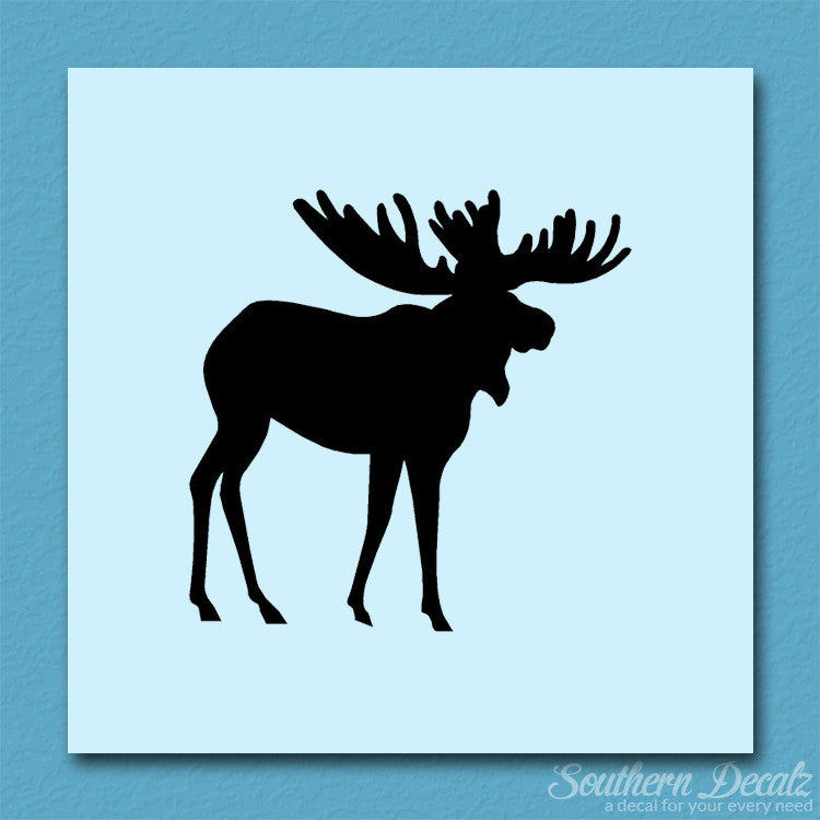 Moose Antler
