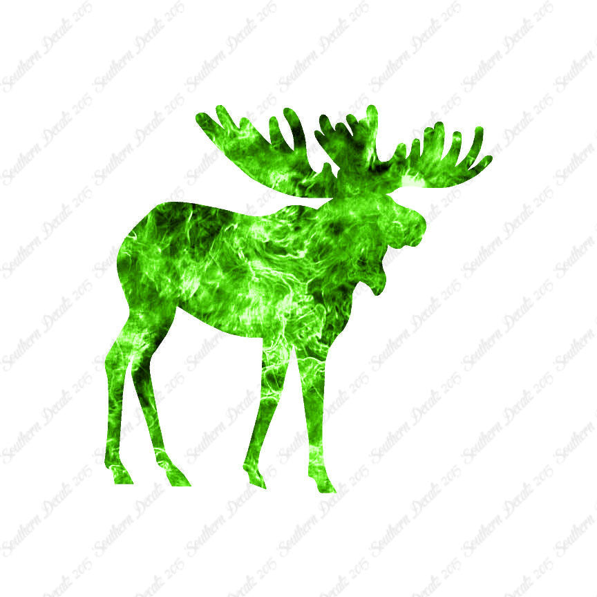 Moose Antler