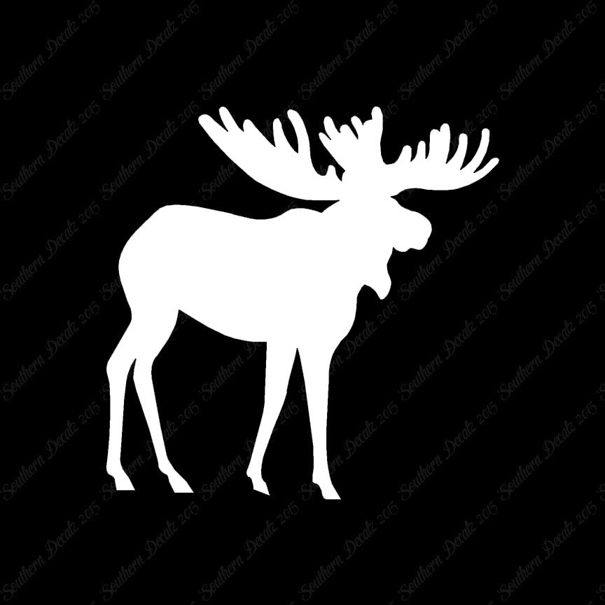 Moose Antler
