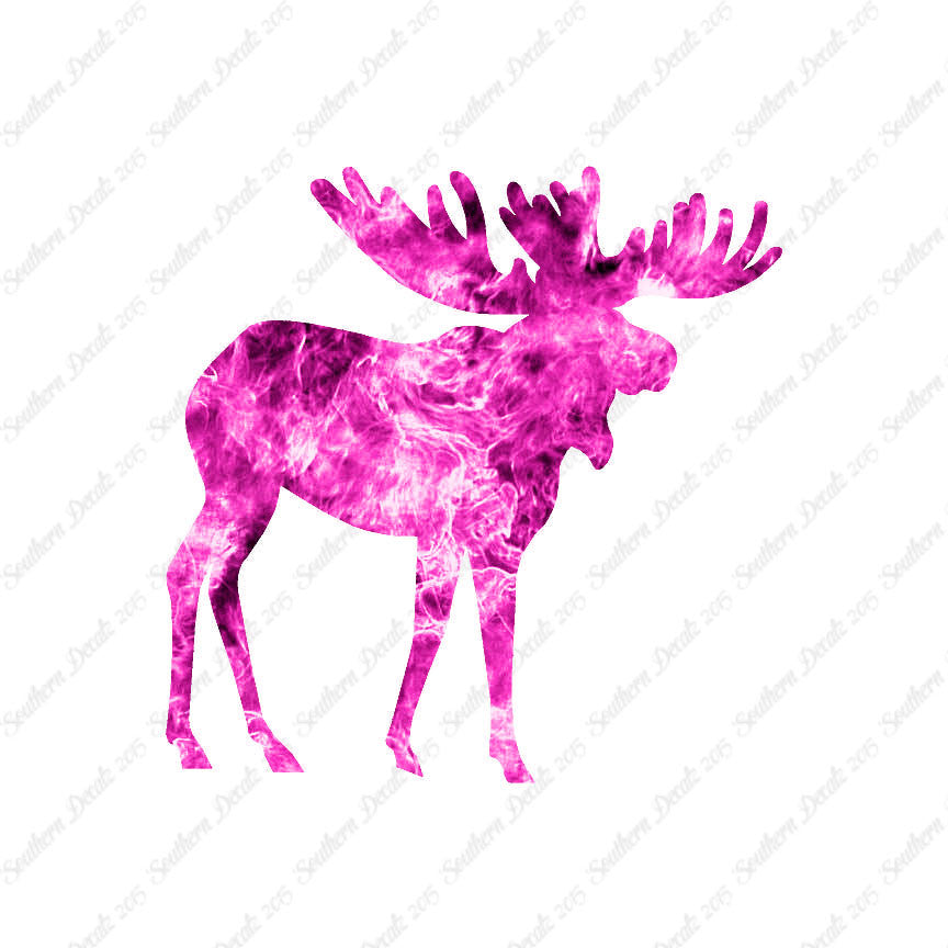 Moose Antler