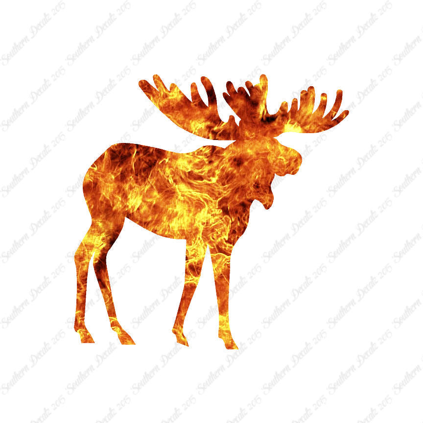 Moose Antler