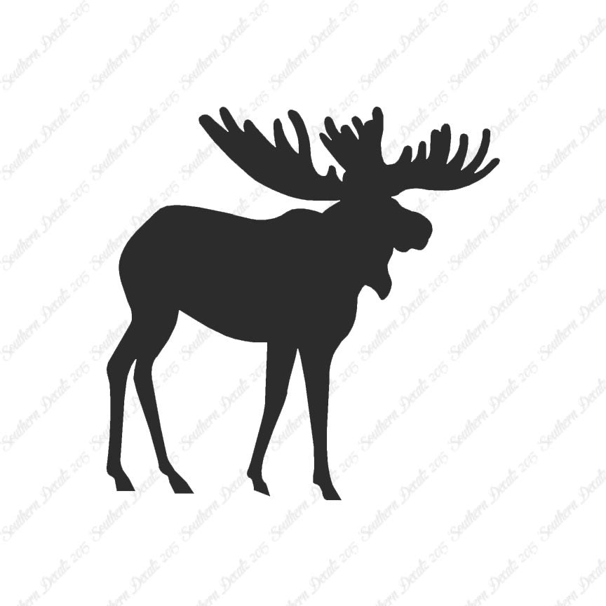 Moose Antler