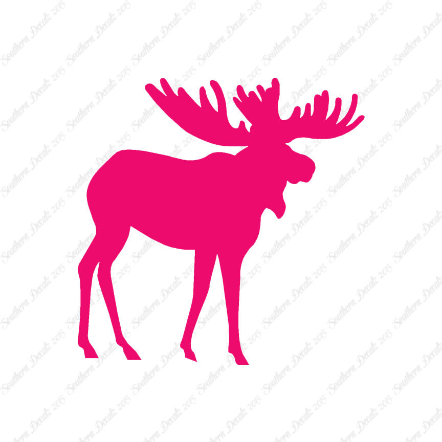 Moose Antler