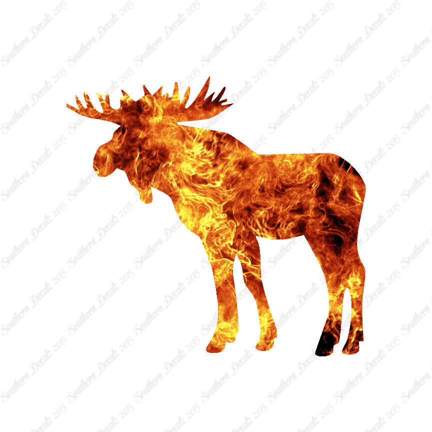 Moose