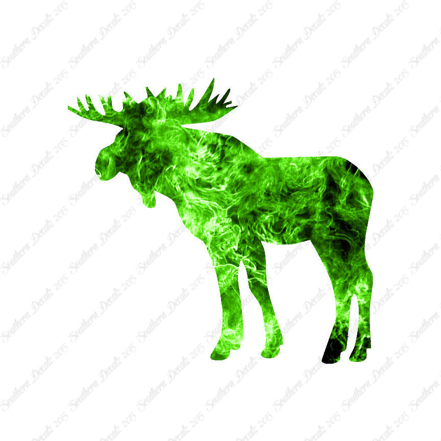 Moose