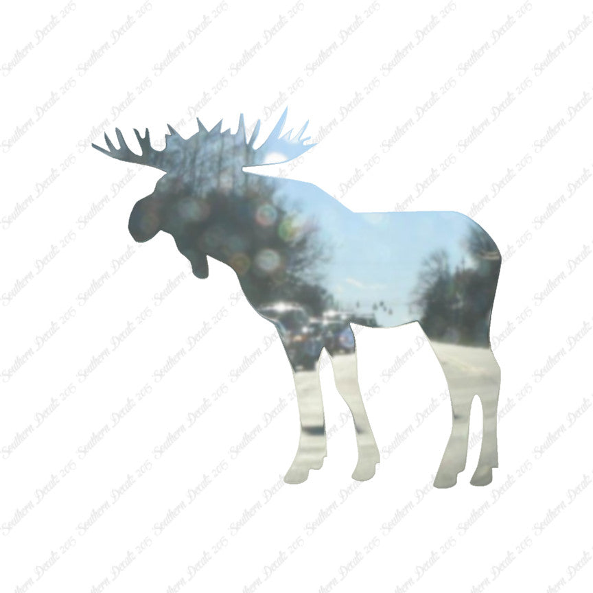 Moose
