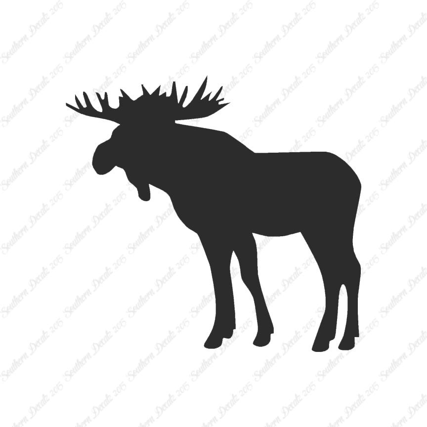 Moose