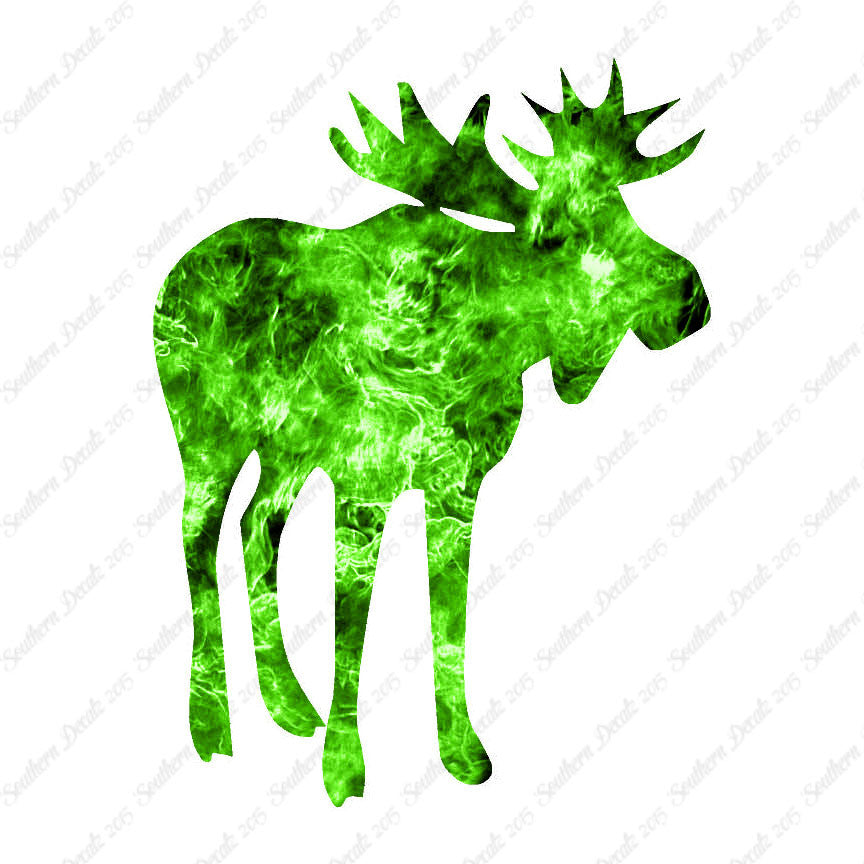 Antler Bull Moose