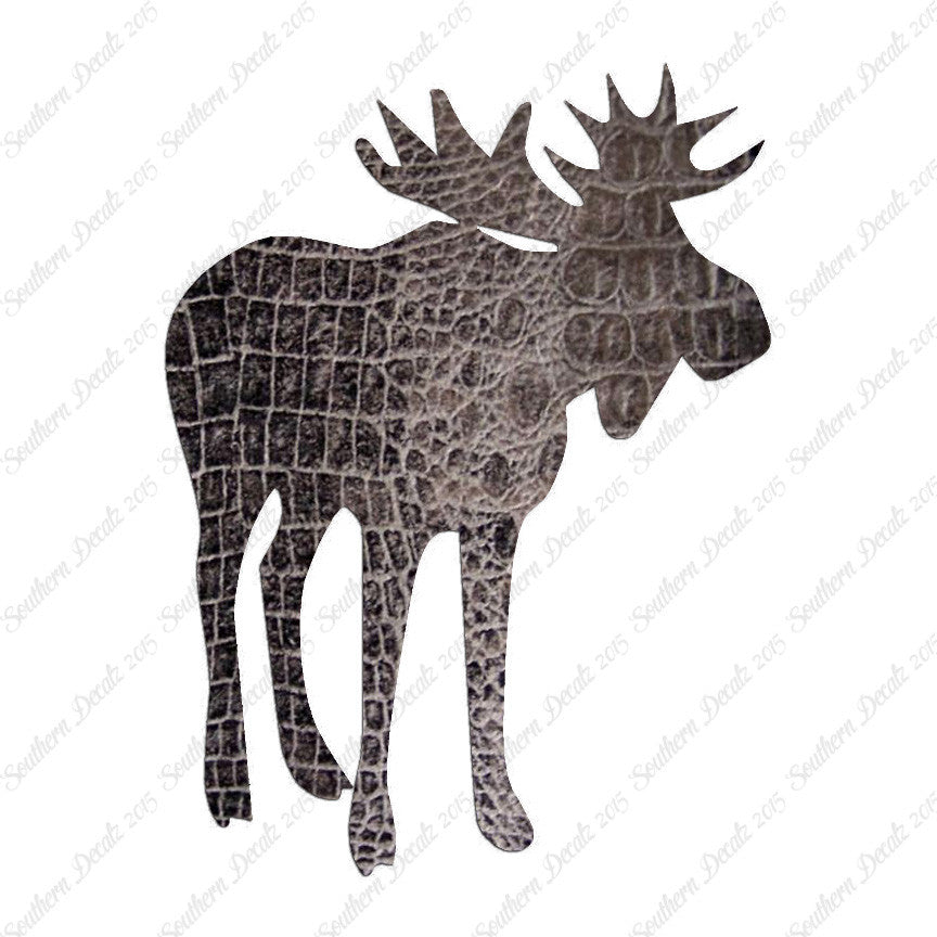 Antler Bull Moose