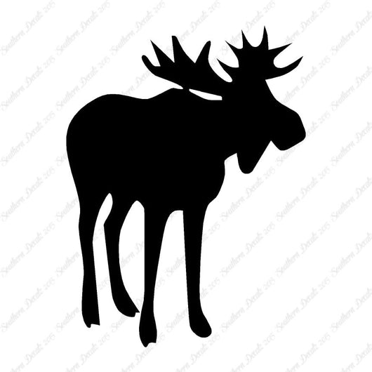 Antler Bull Moose