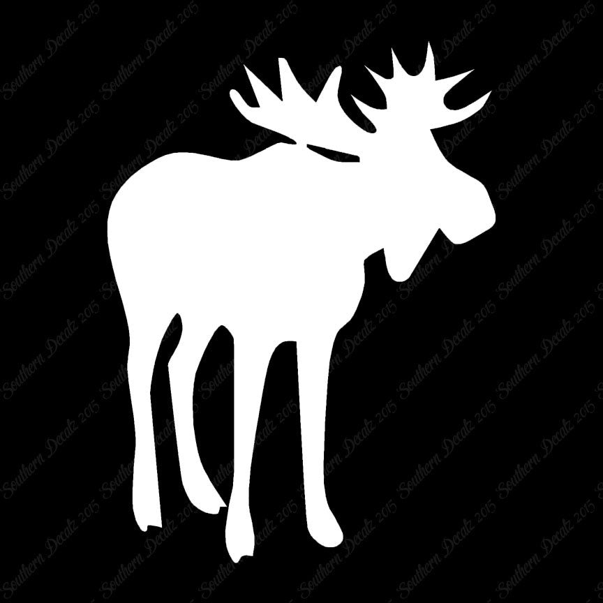 Antler Bull Moose