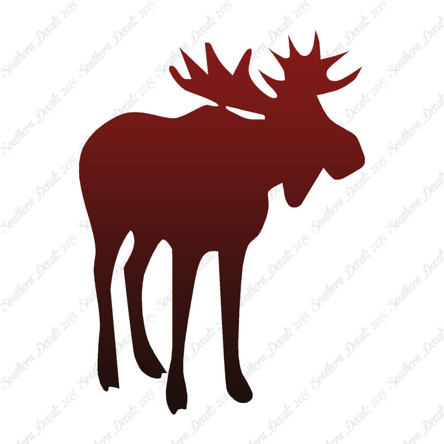 Antler Bull Moose