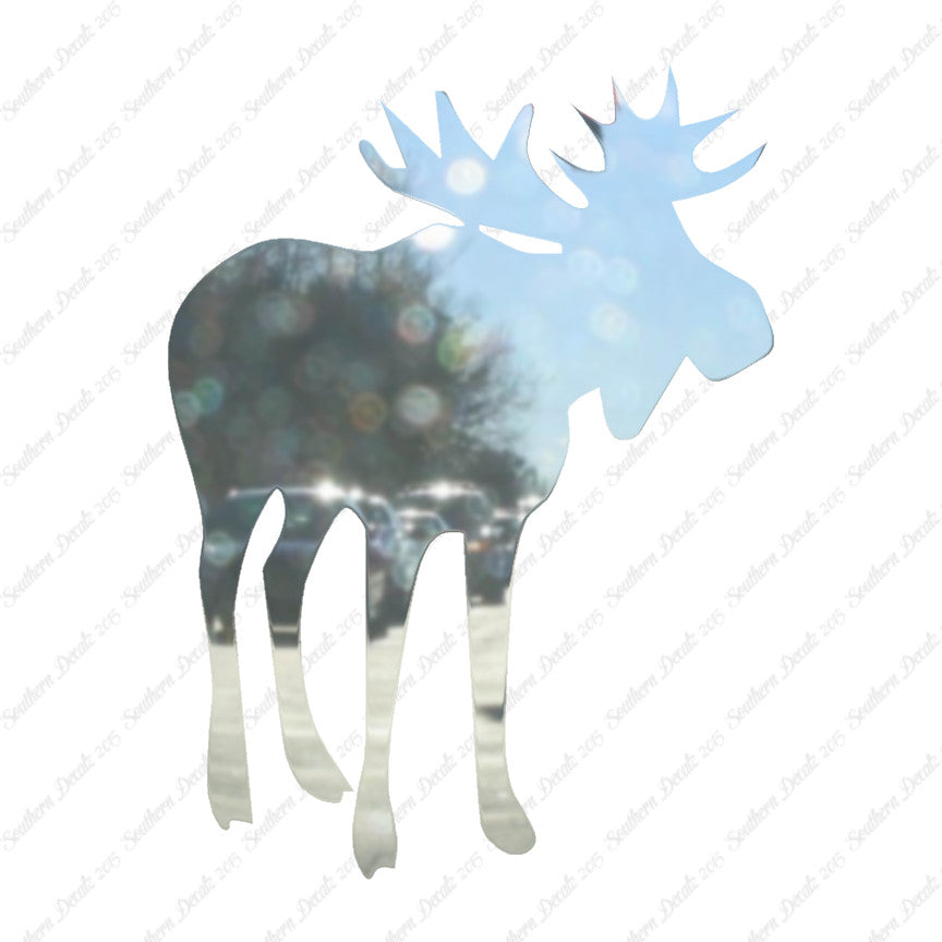 Antler Bull Moose