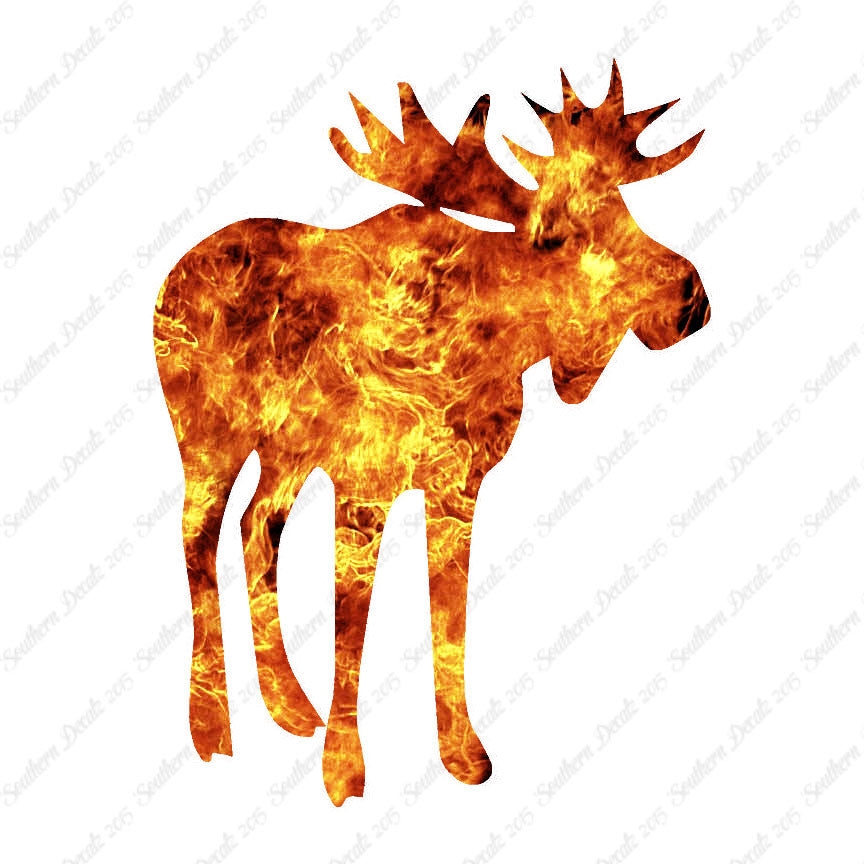 Antler Bull Moose