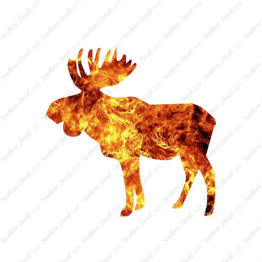 Bull Moose
