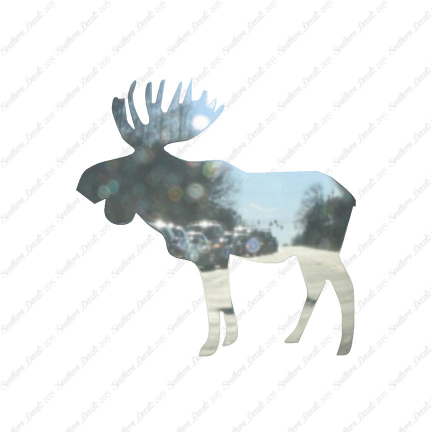 Bull Moose