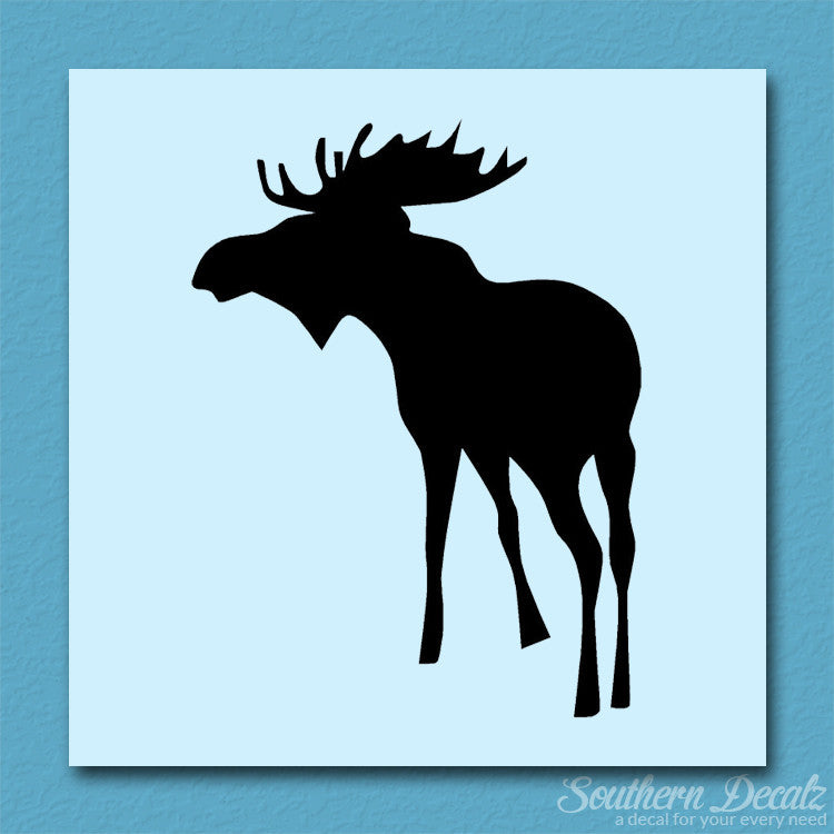 Bull Moose Antler