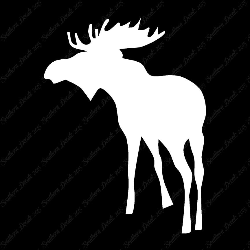 Bull Moose Antler