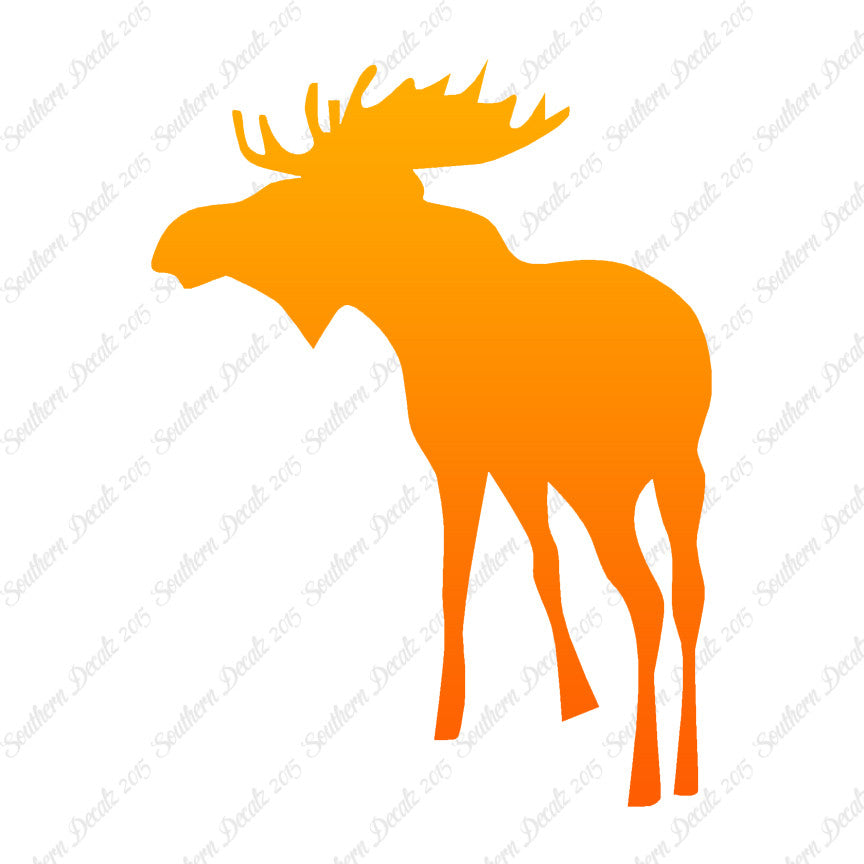 Bull Moose Antler