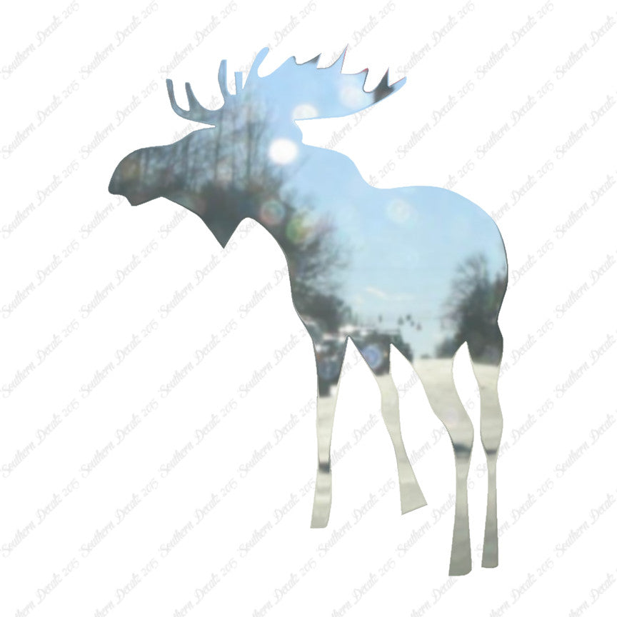 Bull Moose Antler