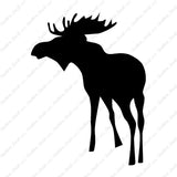 Bull Moose Antler