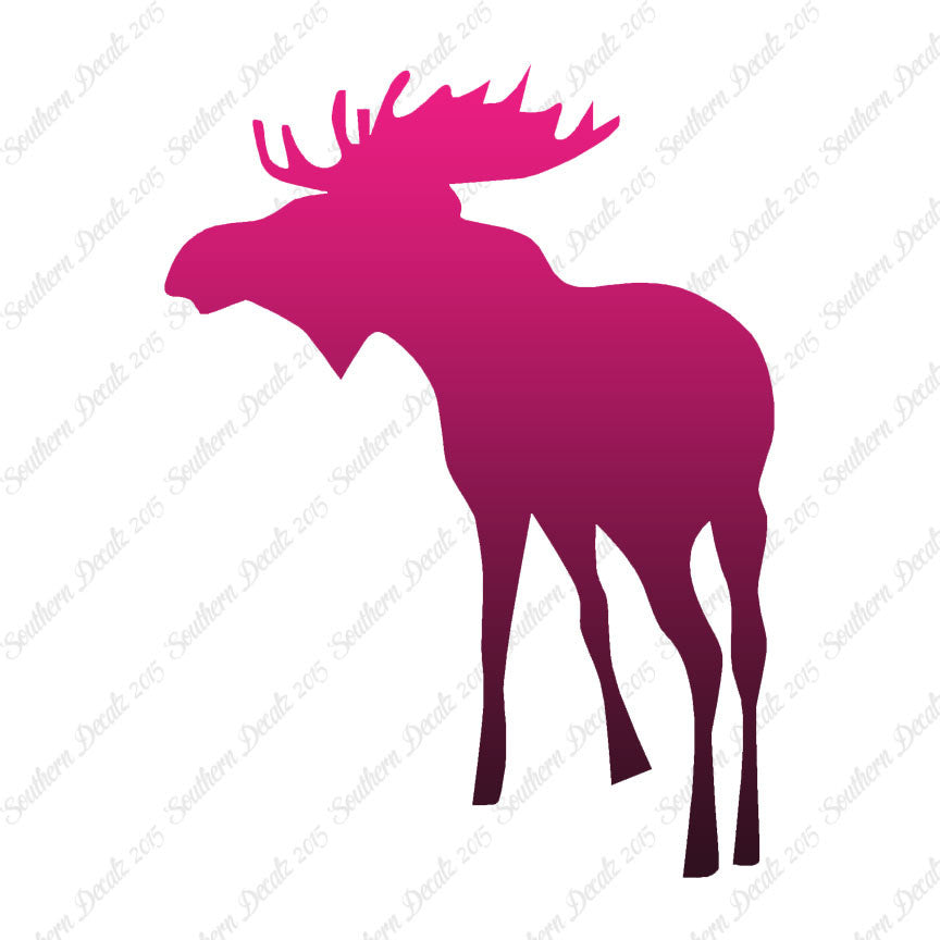 Bull Moose Antler