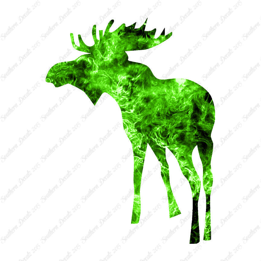 Bull Moose Antler
