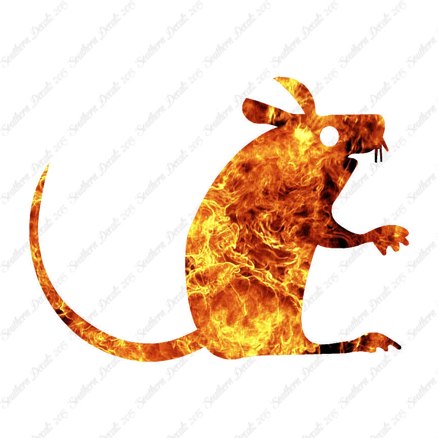 Cute Mouse Drawing