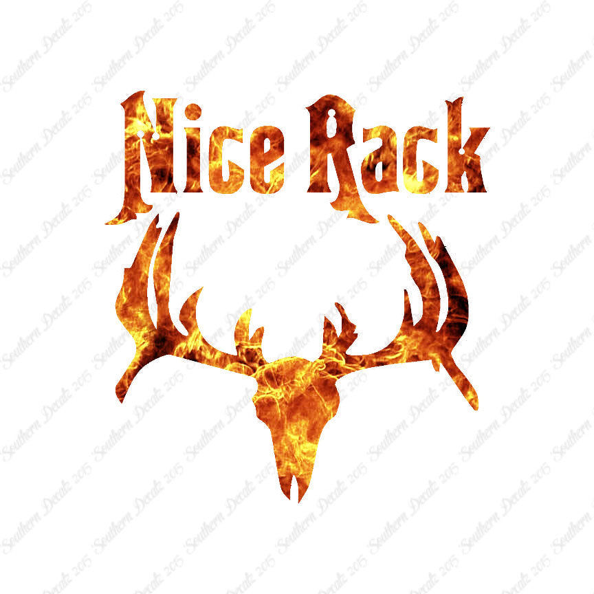 Nice Rack Moose