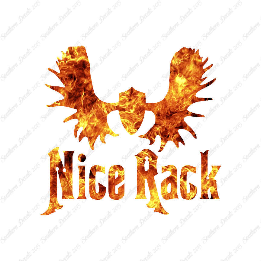 Nice Rack Moose Antler