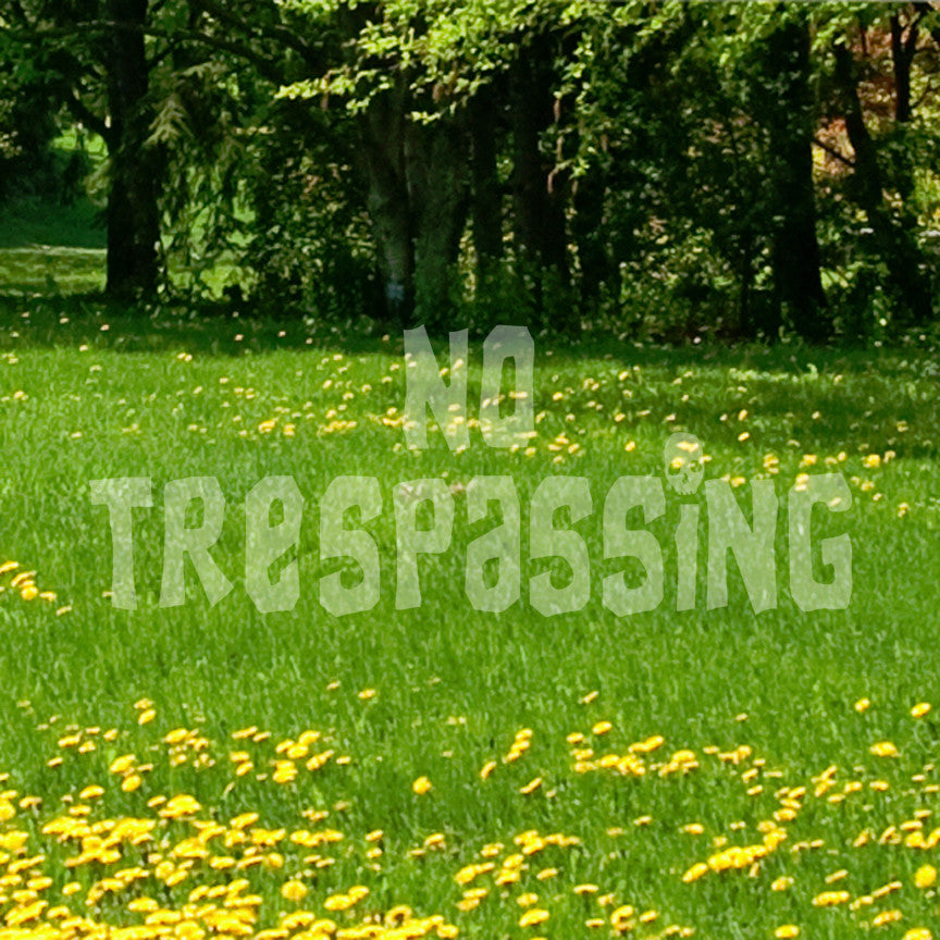 No Trespassing Skull