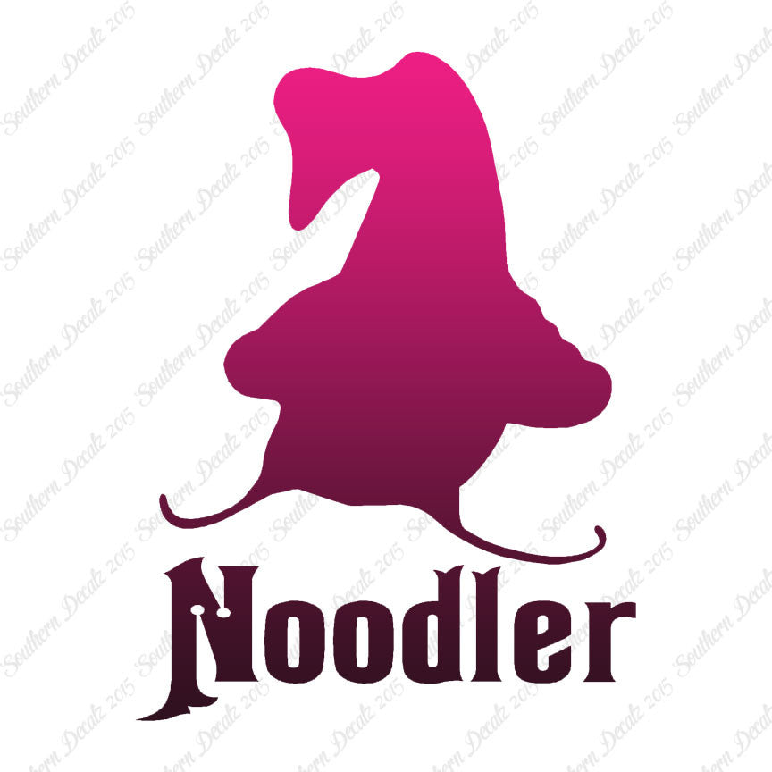 Noodler Catfishing Fishing