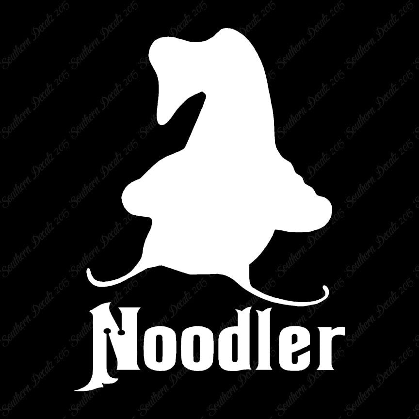 Noodler Catfishing Fishing