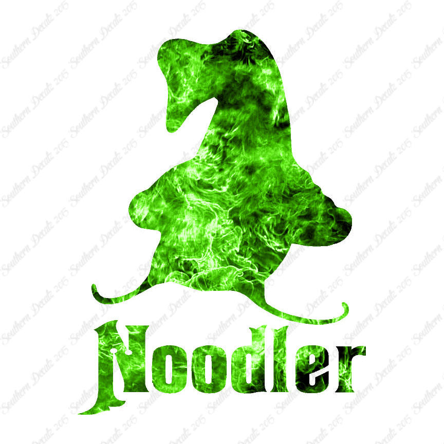 Noodler Catfishing Fishing