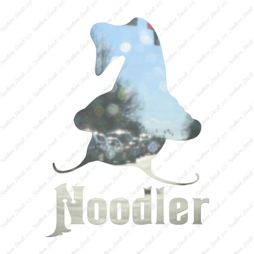 Noodler Catfishing Fishing