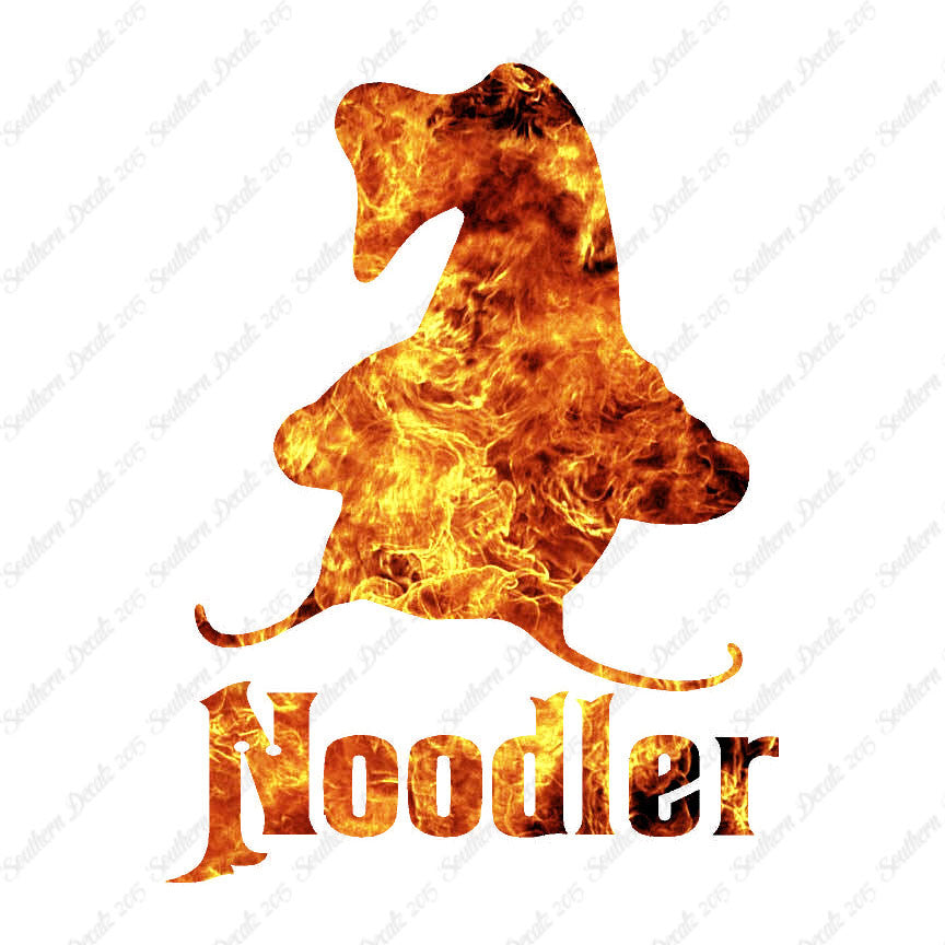 Noodler Catfishing Fishing