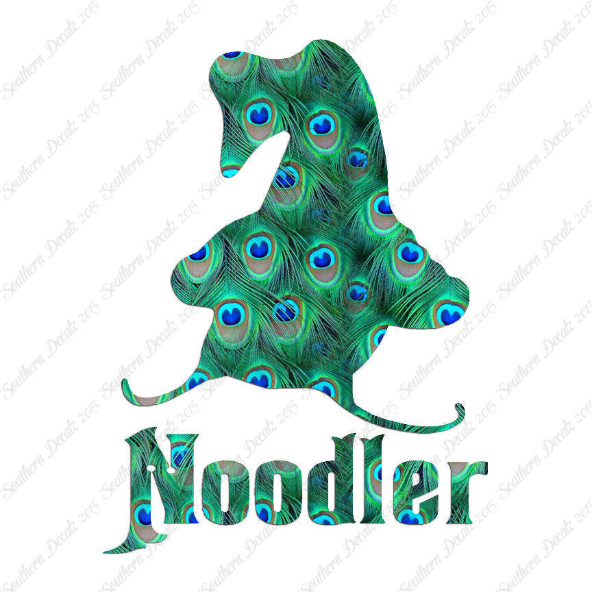 Noodler Catfishing Fishing