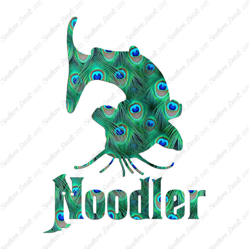 Catfishing Noodler Fishing