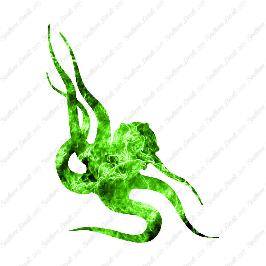 Octopus Tentacle