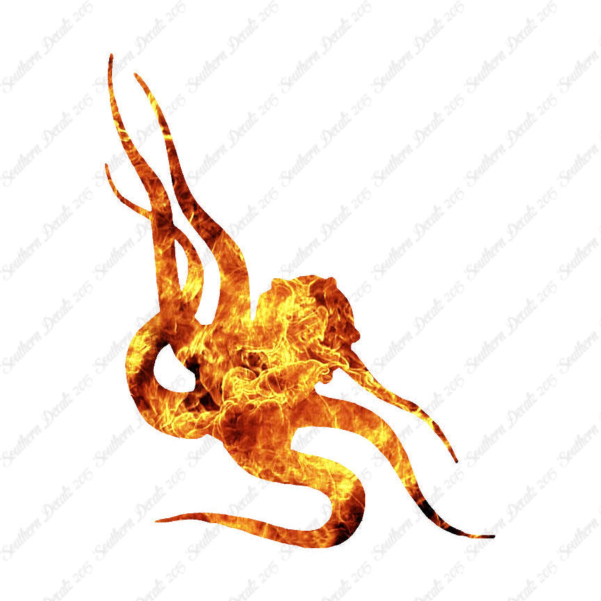 Octopus Tentacle