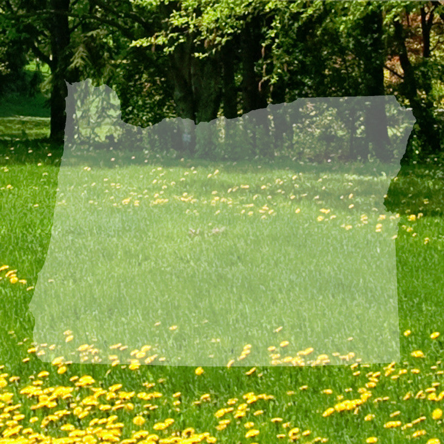 Oregon State Map