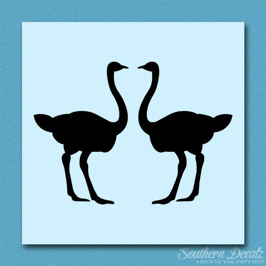 Pair Of Ostrich Ostriches