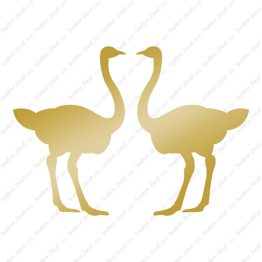 Pair Of Ostrich Ostriches