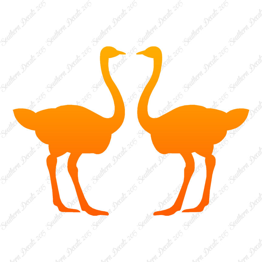 Pair Of Ostrich Ostriches