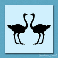 Pair Of Ostrich Ostriches