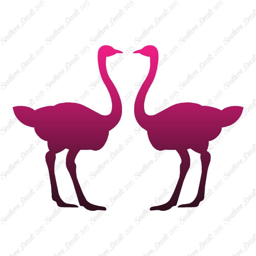 Pair Of Ostrich Ostriches