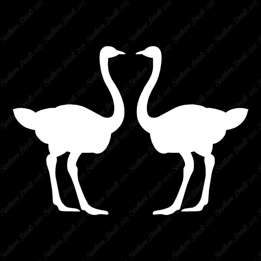 Pair Of Ostrich Ostriches