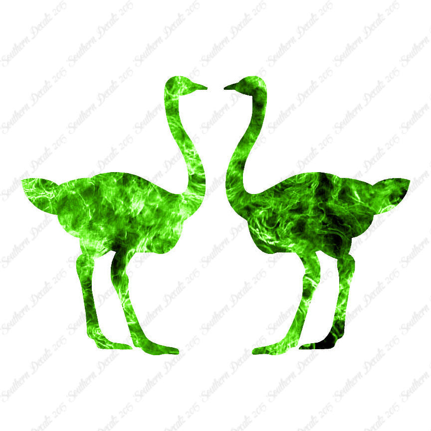 Pair Of Ostrich Ostriches
