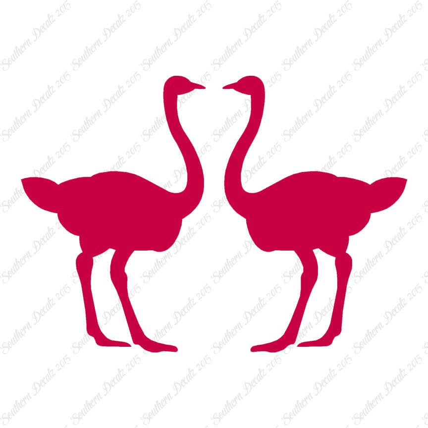 Pair Of Ostrich Ostriches