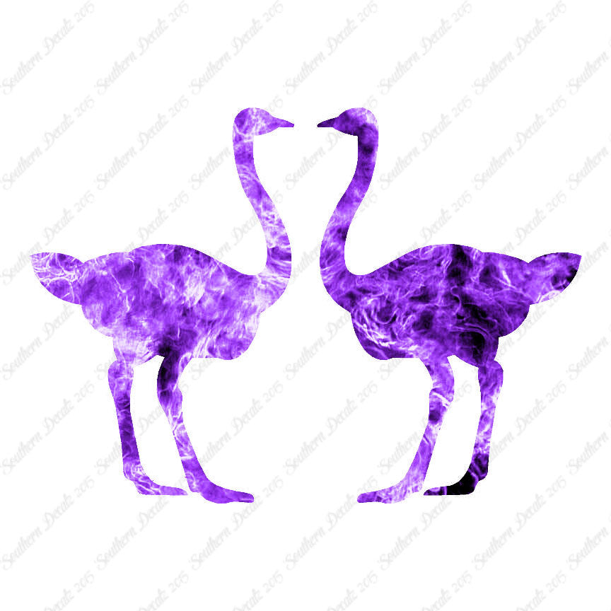 Pair Of Ostrich Ostriches